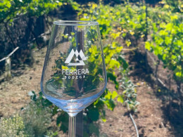 Bodegas Ferrera- Valle de Güimar