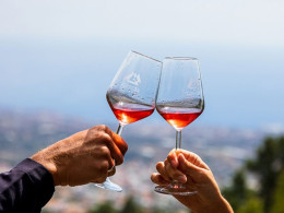 Bodegas Ferrera- Valle de Güimar