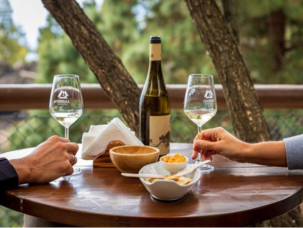 Bodegas Ferrera- Valle de Güimar