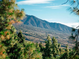 Bodegas Ferrera- Valle de Güimar