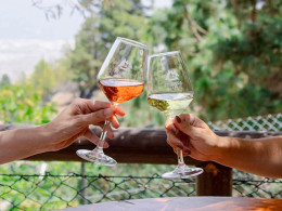 Bodegas Ferrera- Valle de Güimar